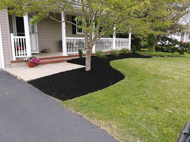 santini landscaping image