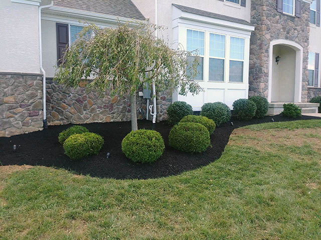 santini landscaping image