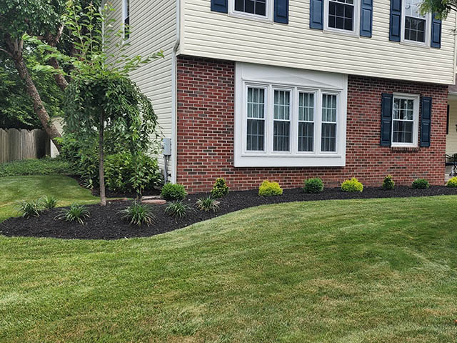 santini landscaping image