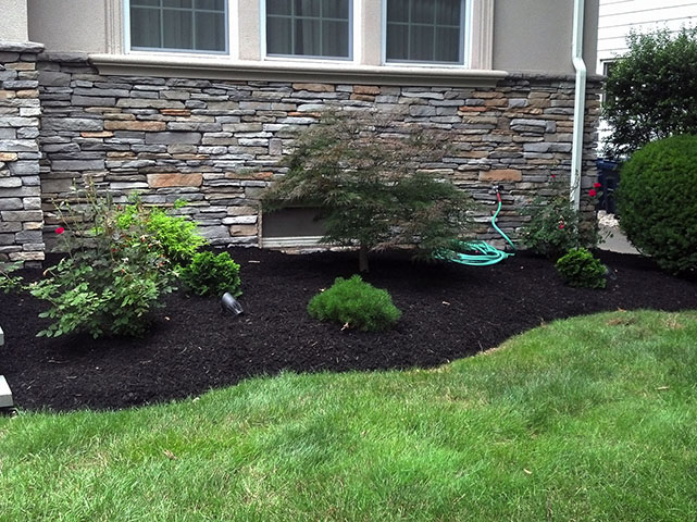 santini landscaping image