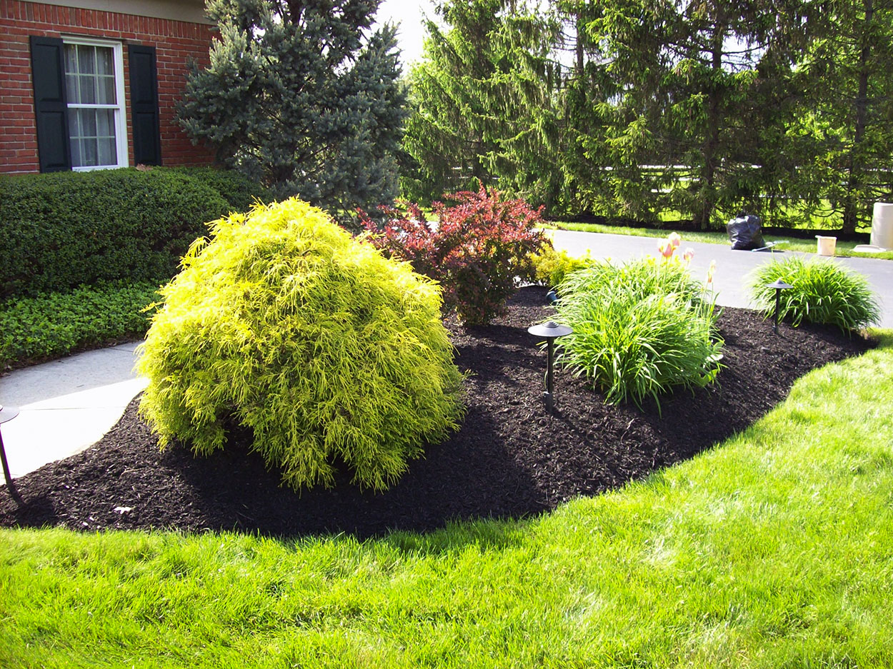 santini landscaping image