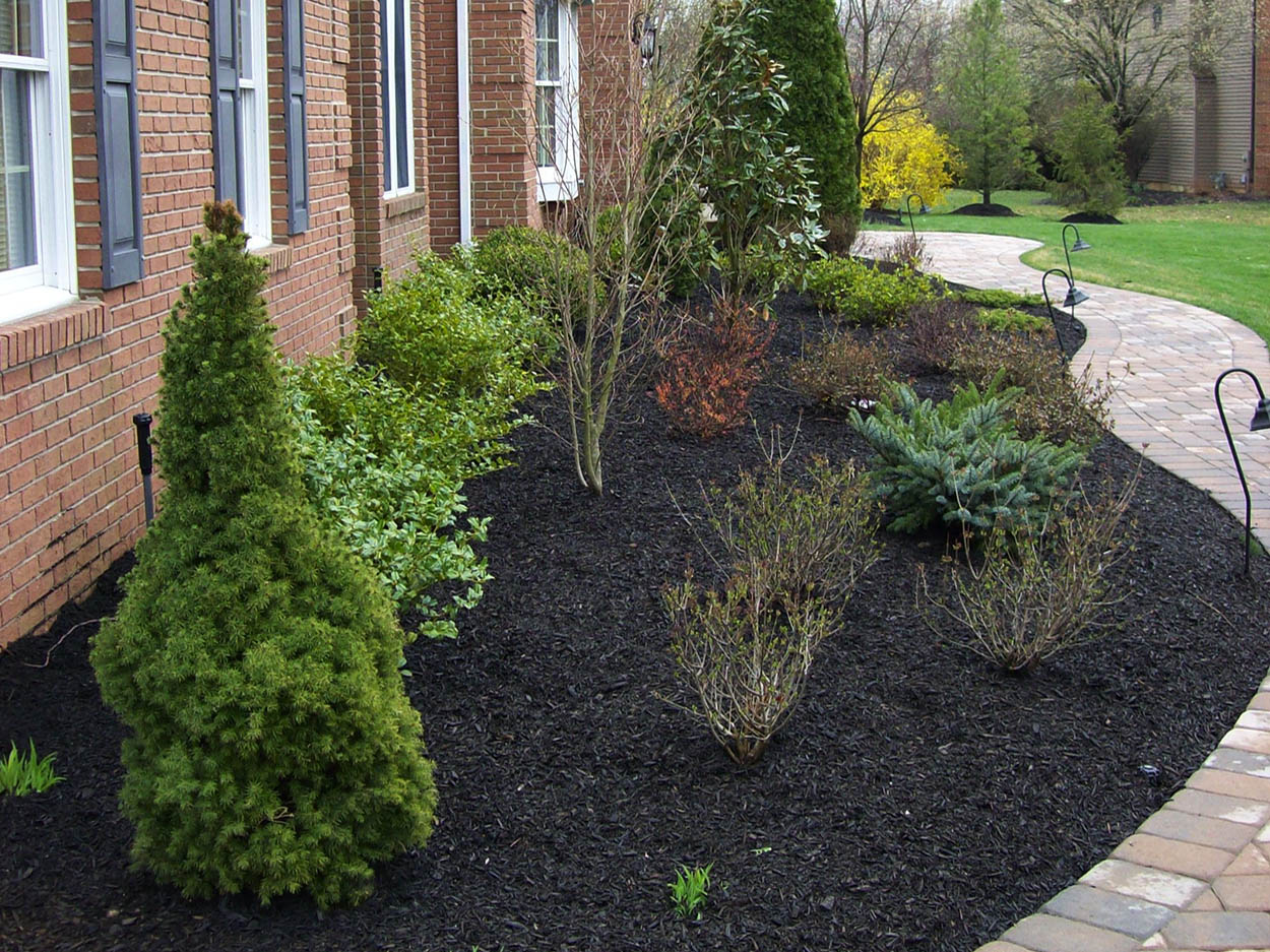 santini landscaping image