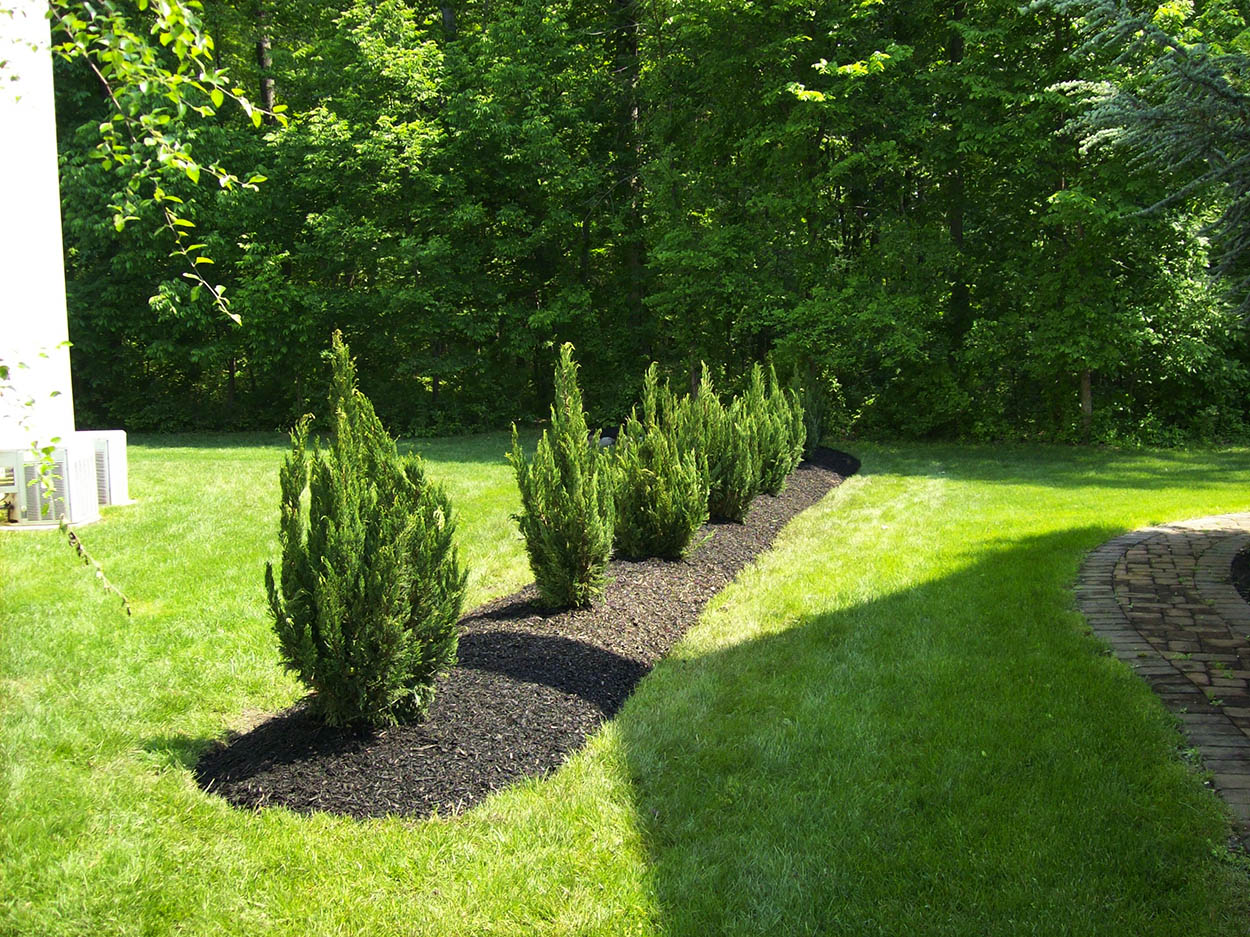 santini landscaping image