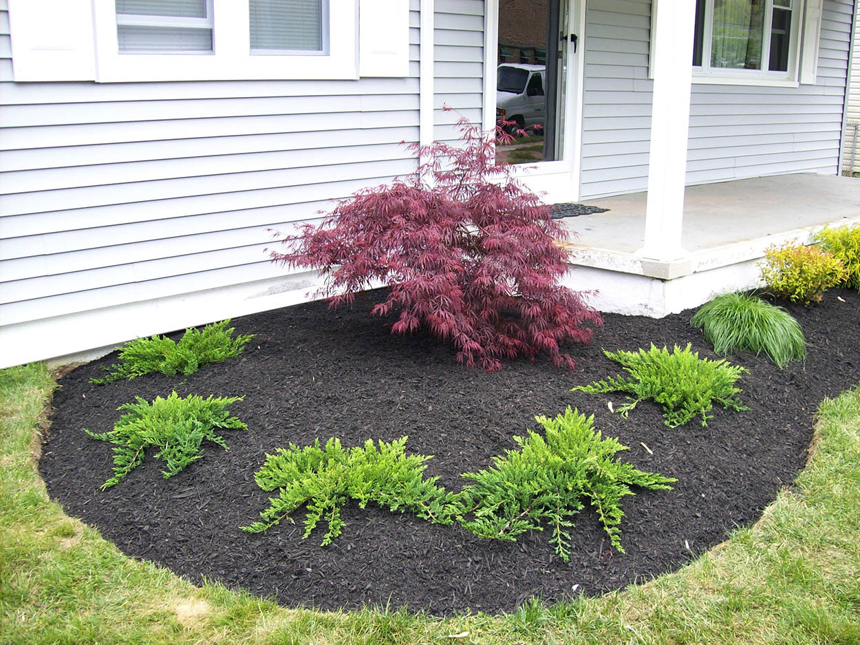 santini landscaping image