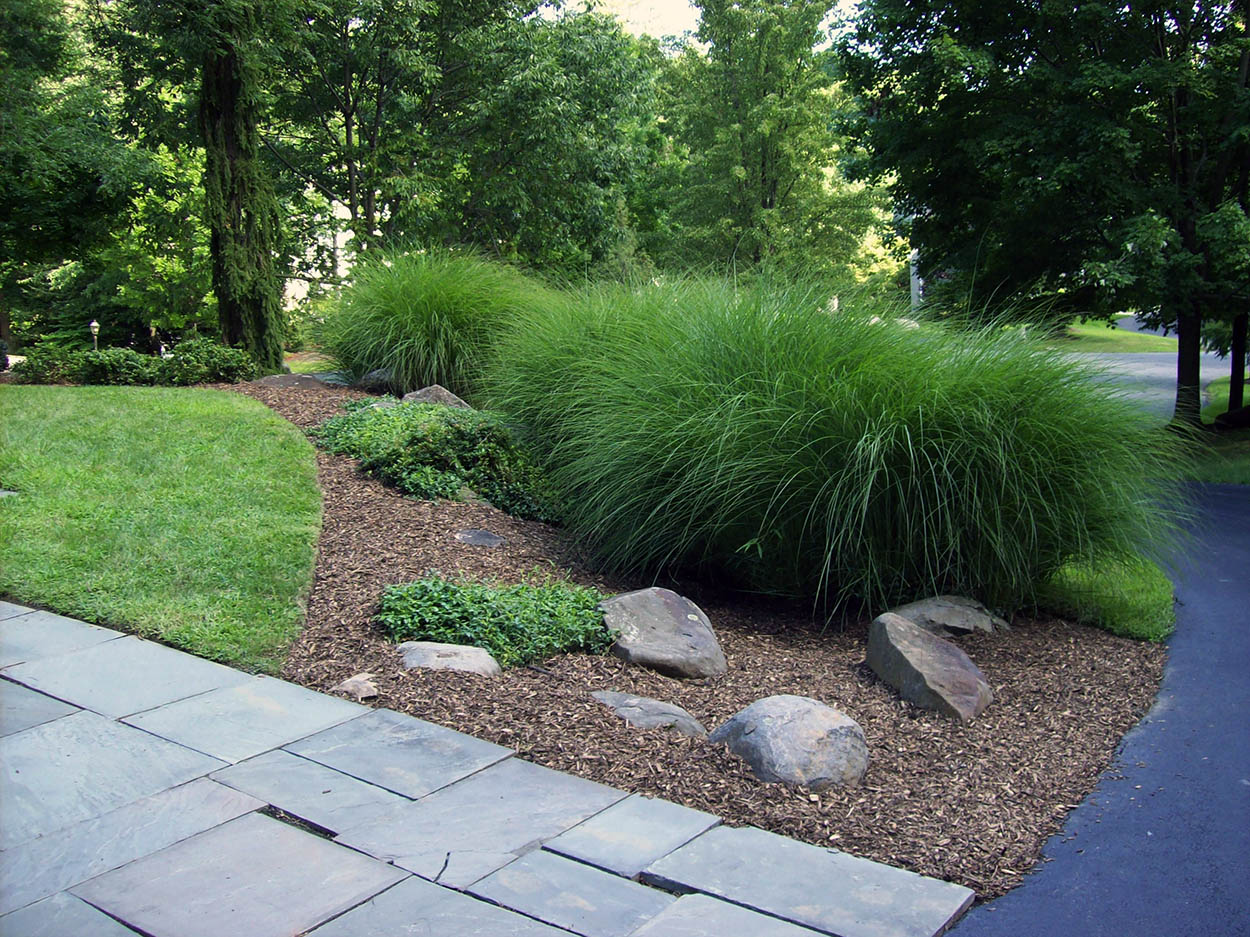 santini landscaping image