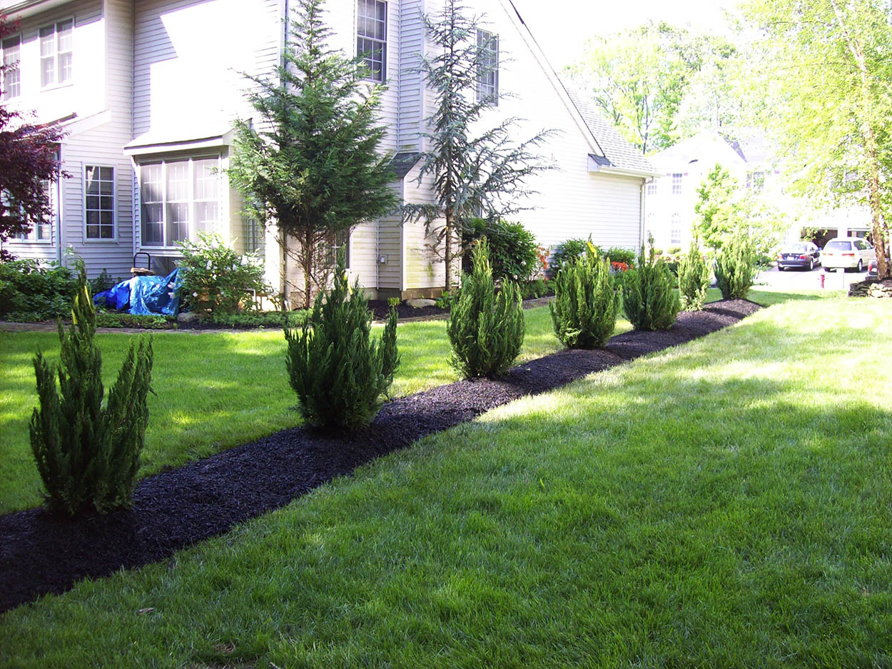 santini landscaping image