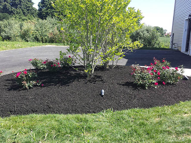 santini landscaping image