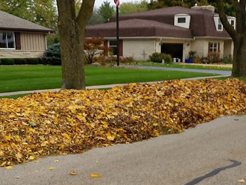 after leaf cleanup