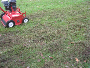 example dethatching machine