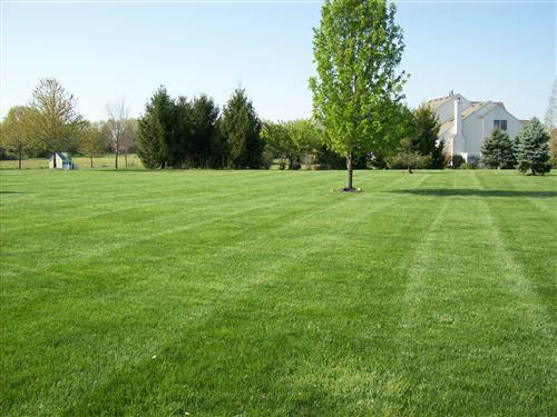 weekly lawn maintenance hamilton nj