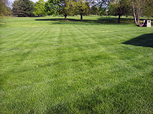 lawn maintenance nj