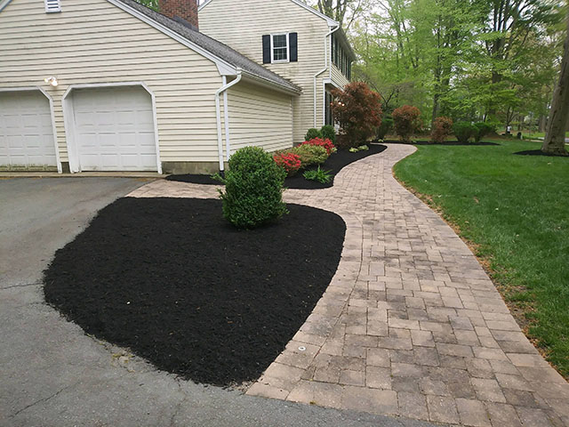 santini landscaping image